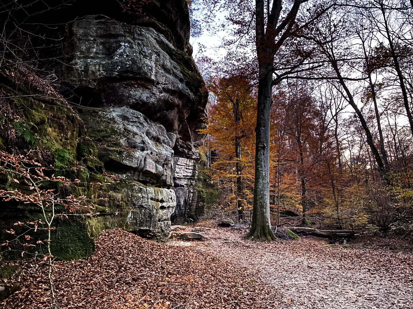 Rim-Rock-Bluffage.jpg